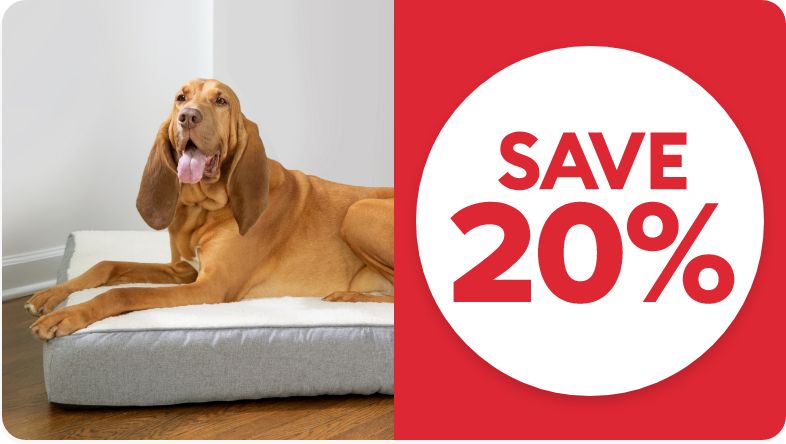 Dog Beds Pillows Blankets for Dogs PetSmart