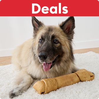 Deals text on a red background & a fluffy dog laying on a rug with a large rawhide bone