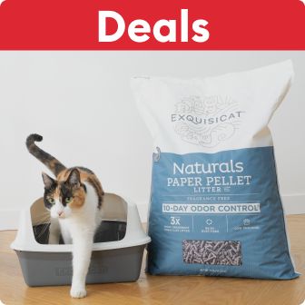 Deals text on a red background, a cat stepping out of a litter box & a bag of litter