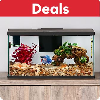 Deals text on a red background & an aquarium on a table