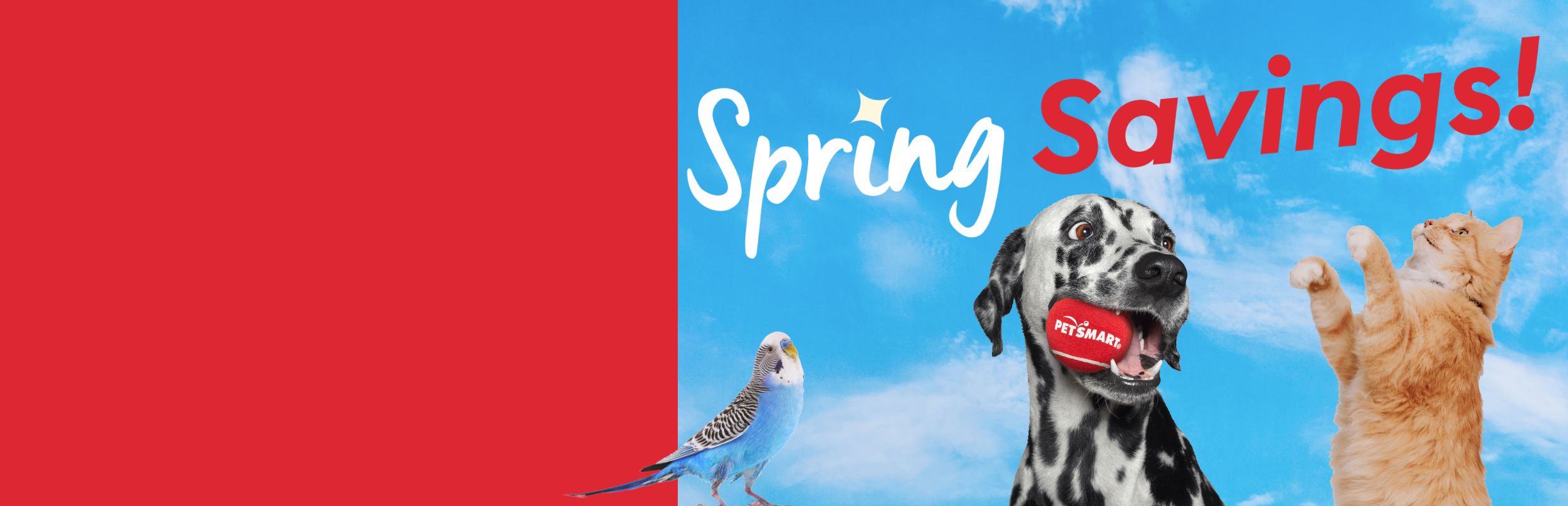 Spring Savings text over a blue sky background with a Dalmatian holding a red PetSmart ball, an orange cat & a blue parakeet