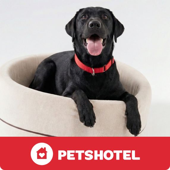 PetsHotel logo & a black labrador resting in a plush bed