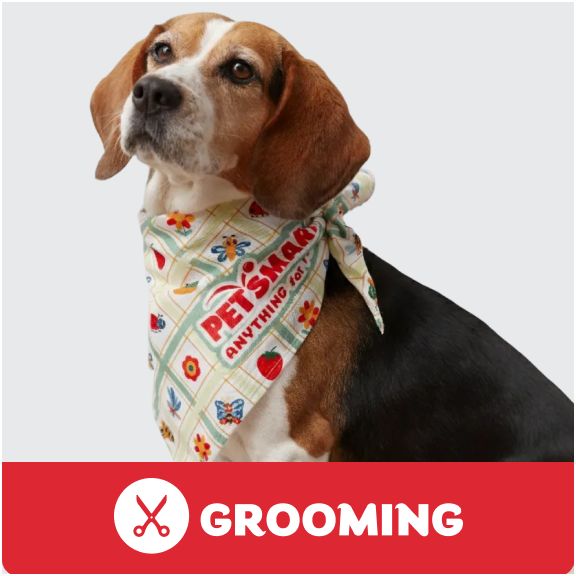 Grooming logo & a beagle wearing a PetSmart bandana		