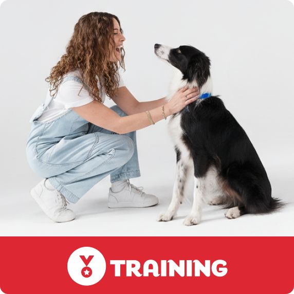 Training logo & a woman kneeling & gently holding a black & white dog