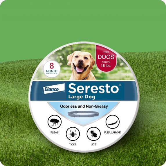 VetIQ flea & tick soft chew supplements for dogs in a resealable orange & blue pouch