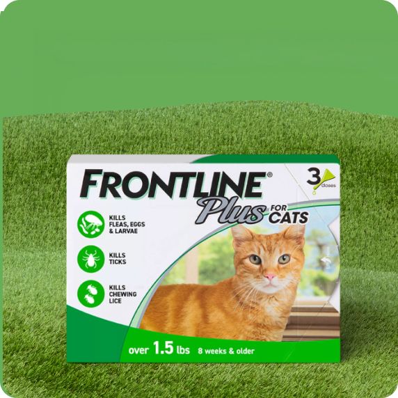 Frontline Plus flea & tick treatment for cats