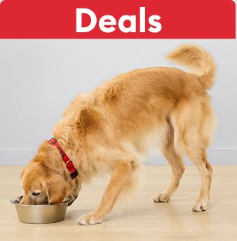Deals text on a red background & a golden retriever eating out of a bowl