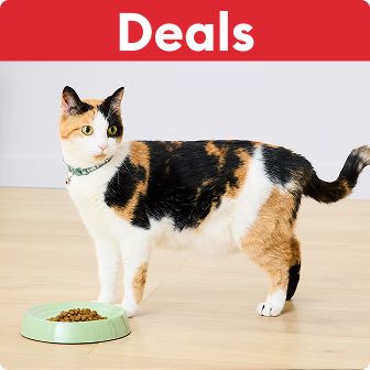 Deals text on a red background & a cat standing by a bowl of food