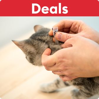 Deals text on a red background & a person applying treatment to a cat