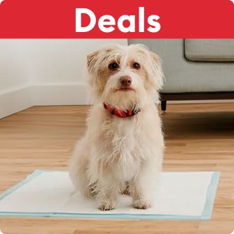 Deals text on a red background & a dog sitting on a disposable dog pad