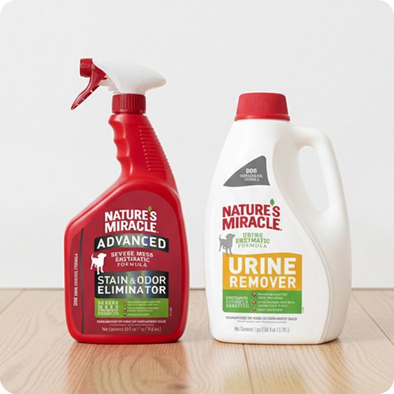 Nature's Miracle Stain & Odor Eliminator and Urine Remover