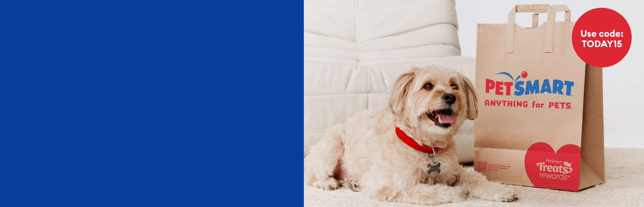 Small dog wearing a red collar lying beside a PetSmart shopping bag with Treats Rewards logo & a use code TODAY15 callout