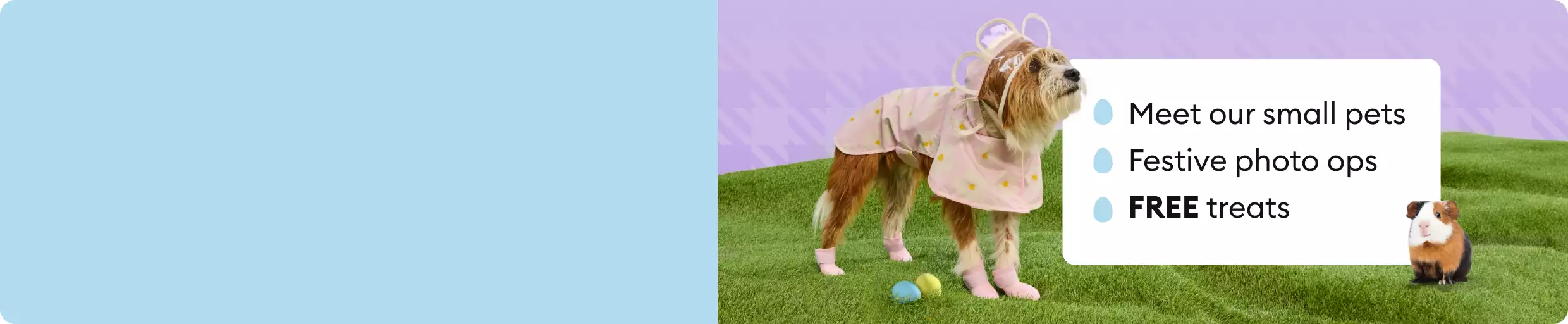 Dog in a pink bunny costume standing with Easter eggs, a guinea pig & text that reads, Meet our small pets, Festive photo ops & FREE treats