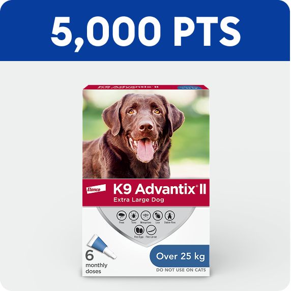 5,000 pts callout & K9 Advantix II dog flea & tick treatment		