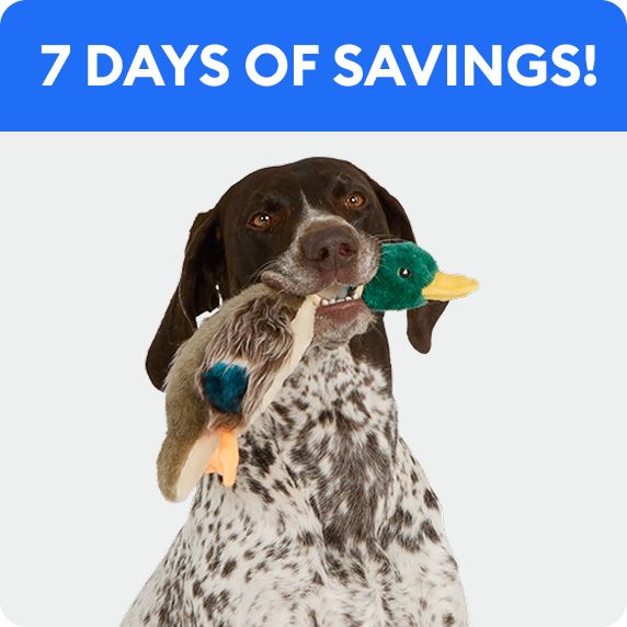 7 days of savings callout & a dog holding a duck toy in their mouth		