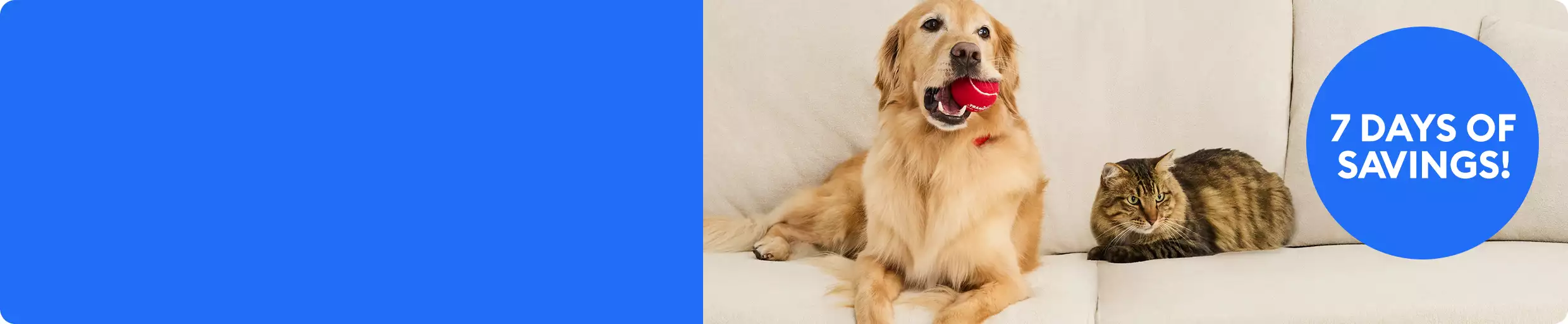 7 days of savings message & a golden retriever holding a red ball sitting beside a tabby cat on a couch