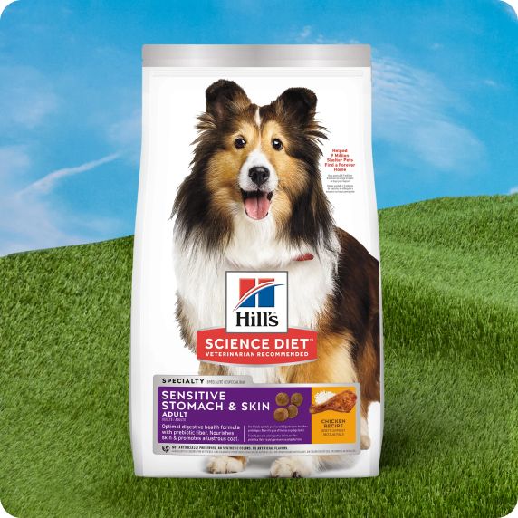 Bag of Hill's Science Diet dog food displayed on green grass & a blue sky background
