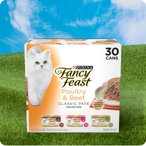 Purina Fancy Feast cat food variety pack displayed on green grass & a blue sky background