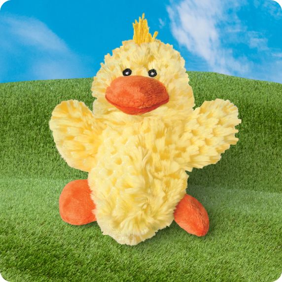 Plush yellow duck dog toy displayed on green grass & a blue sky background