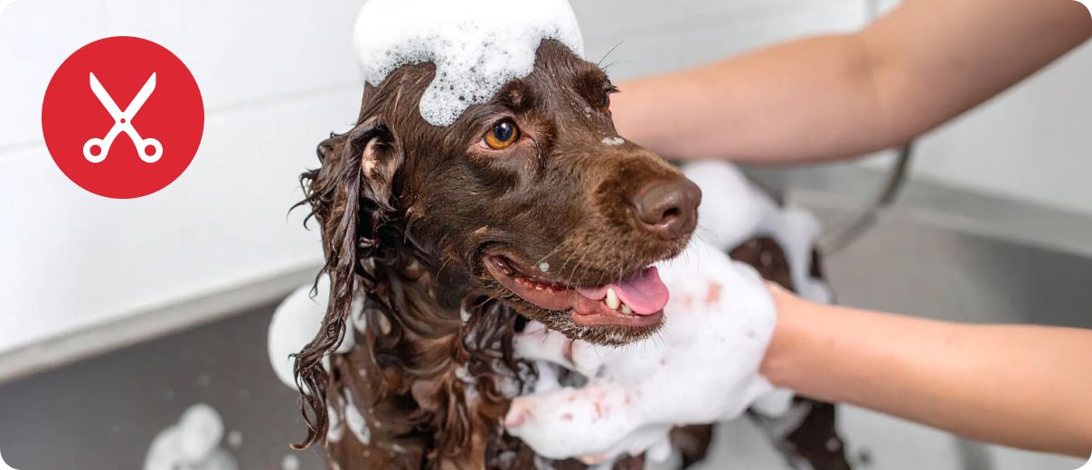 Grooming logo with dog being bathed in lather & bubbles