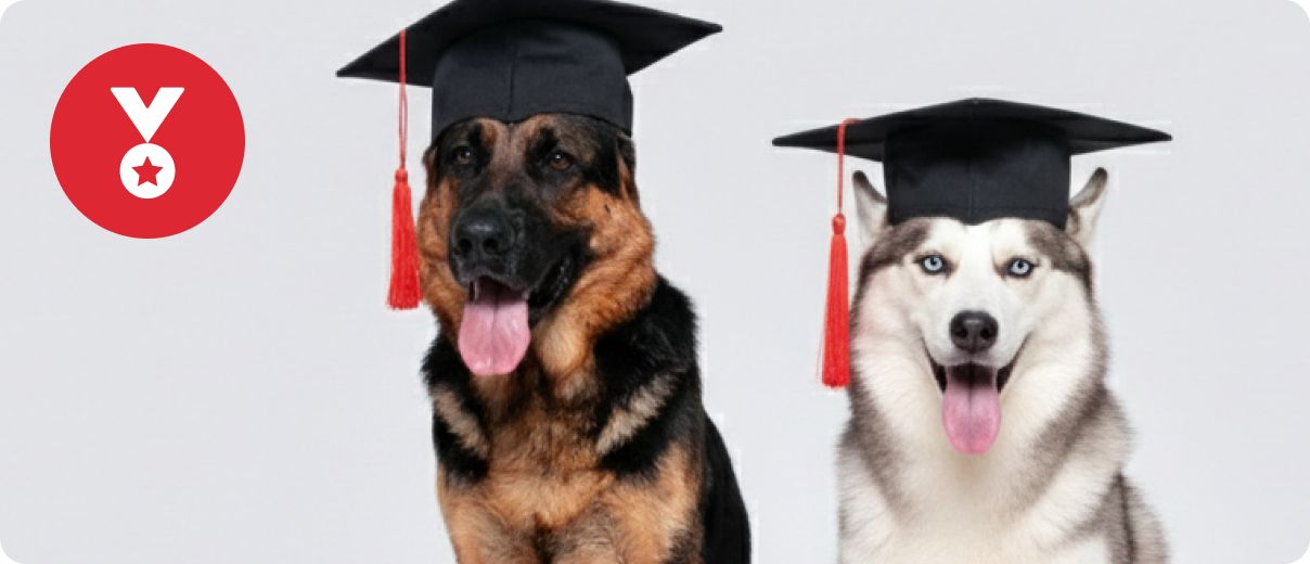 Training logo with two dogs wearing graduation caps