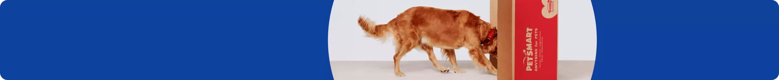 Dog shown peeking his head into upended PetSmart box