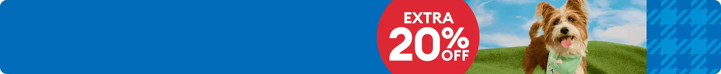 EXTRA 20% OFf with rotation of terrier, iguana, guinea pig & cat in grassy outdoors