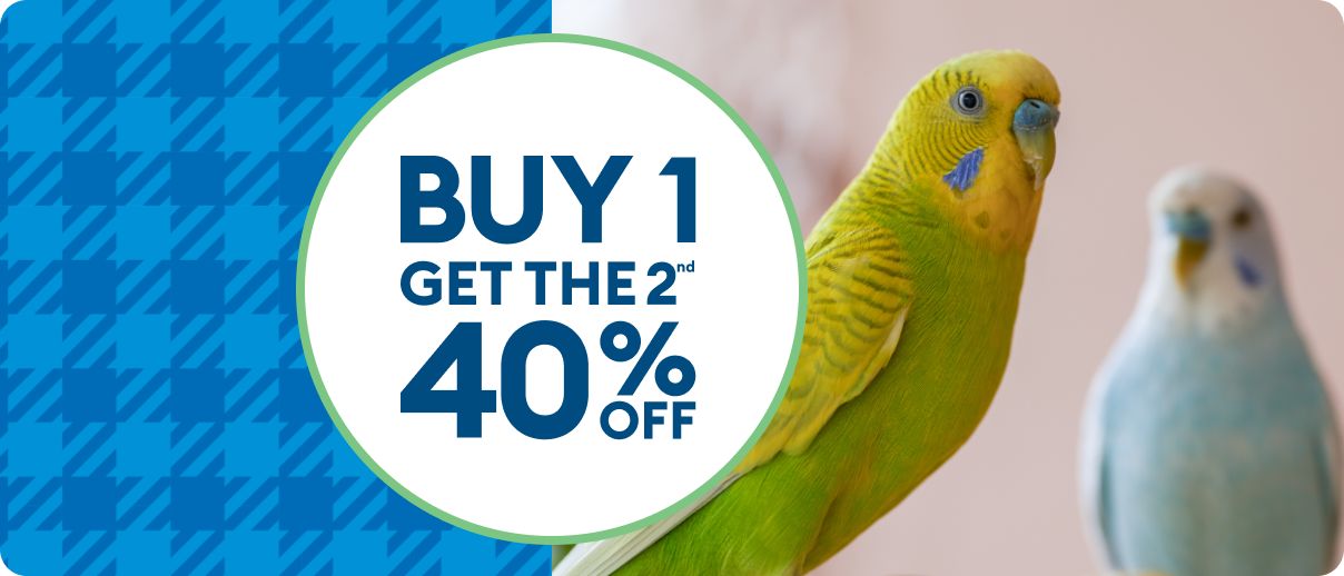 Buy 1, get the 2nd 40% OFF callout & two colorful birds