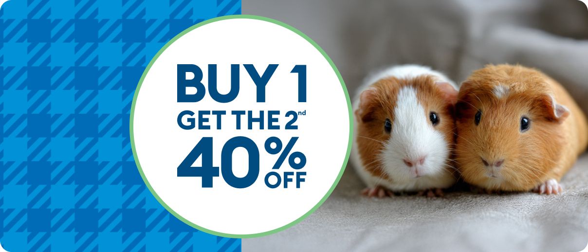 Buy 1, get the 2nd 40% OFF text & two guinea pigs