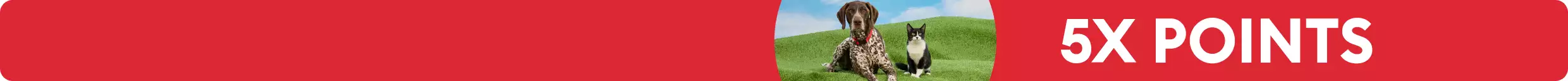 5X points callout and a dog & cat laying on grass