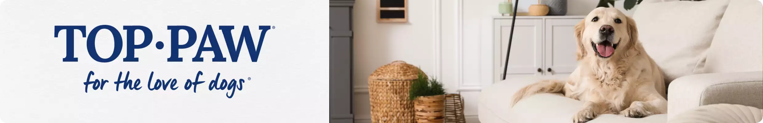 Top Paw logo with the tagline, for the love of dogs, beside a golden retriever resting on a white couch