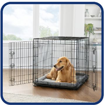 Dog resting inside a wire crate with a cushioned bed