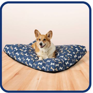 Corgi lying on a blue patterned dog bed
