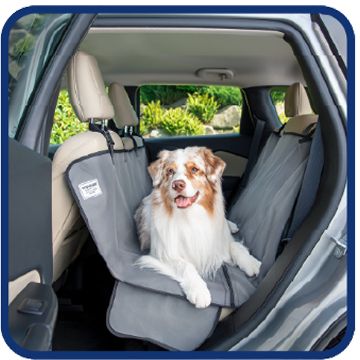 Small dog secured in a car seat cover inside a vehicle