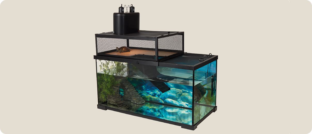 Glass reptile terrarium setup with water feature, basking area & heat lamp