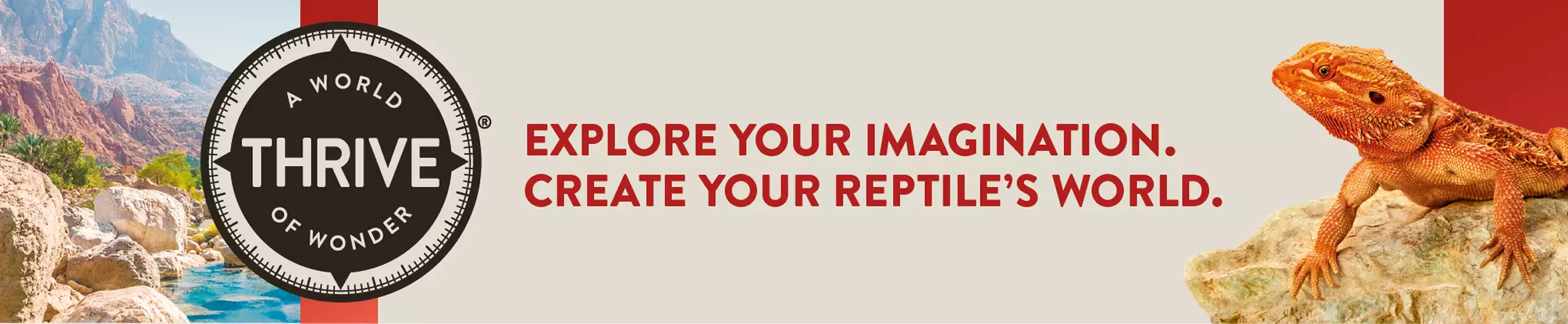 Thrive badge, headline reading “Explore Your Imagination. Create Your Reptile’s World.” & a bearded dragon perched on a rock