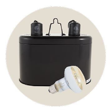 Black dome heat lamp with light bulb for reptile habitats