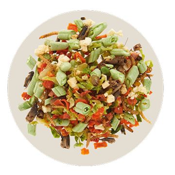 Chopped fresh reptile food blend