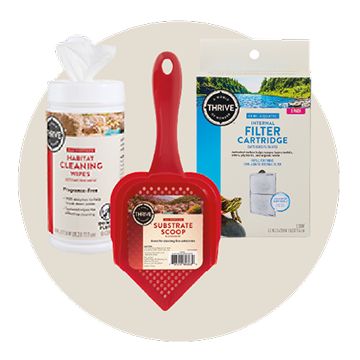 Reptile cleaning supplies including disinfectant spray, wipes & scoop