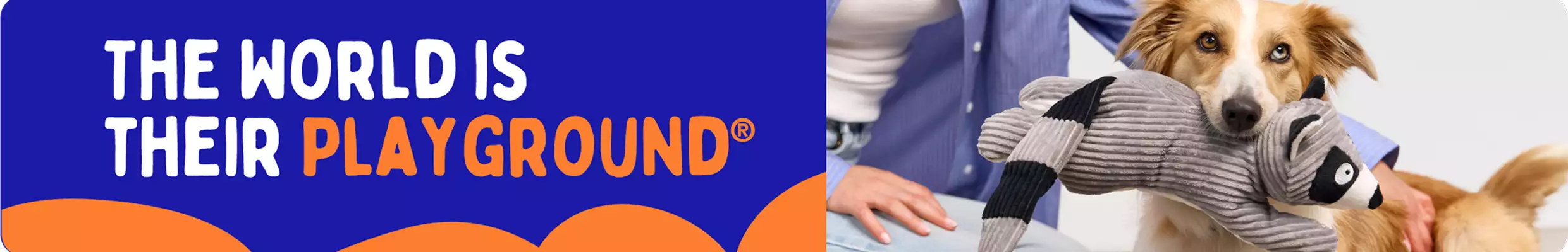 Pet parent & small dog with Joyhound Plush Raccoon Squeaky dog toy in mouth