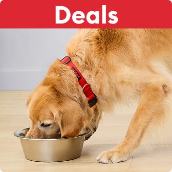 Deals callout on a red banner & a dog eating food out of a bowl
