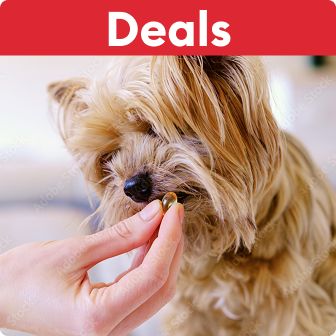 Deals callout on a red banner & a pet parent giving a vitamin to a small dog