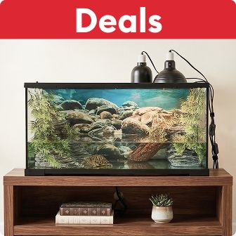 Deals callout on a red banner & an aquarium on a stand