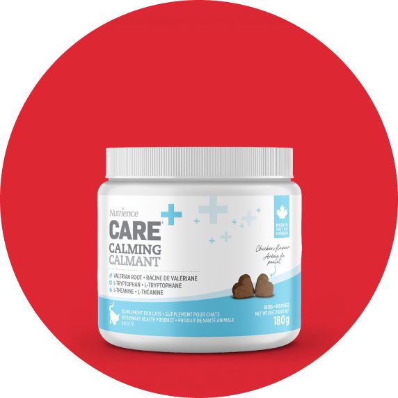 Nutrience Care Calming Supplement Bites for Cats