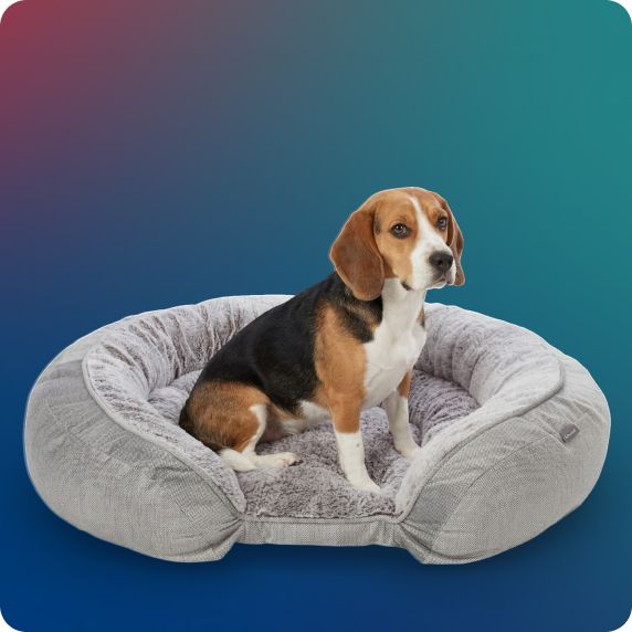 Dog laying on a Top Paw Orthopedic Lounger