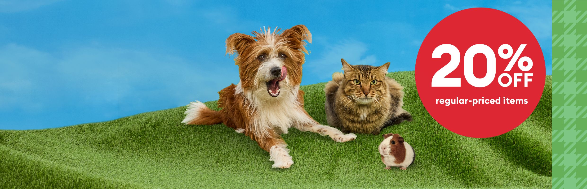 Dog, cat & guinea pig sitting on grass with a callout that reads, 20% off regular-priced items