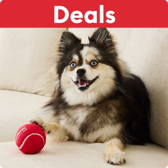 Deals callout on a red banner & a dog laying next to a red ball