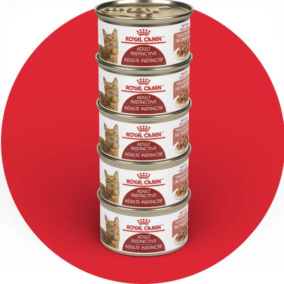 5 cans of Royal Canin Feline Health Nutrition Adult Instinctive Cat Food