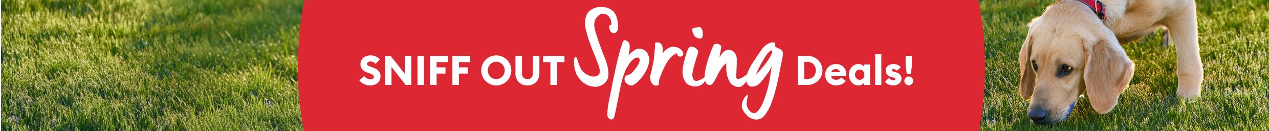 Red banner reading, Sniff out Spring Deals!, over grass background & a dog sniffing the ground
