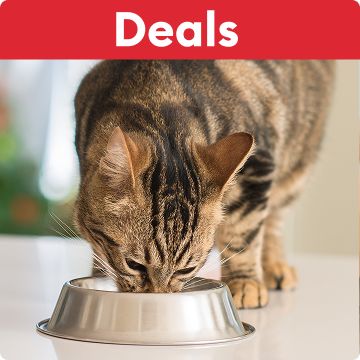 Deals callout on a red banner & a cat eating food out of a bowl